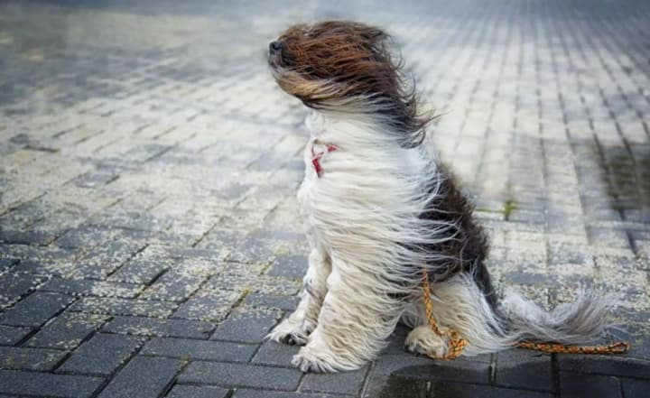 shkvalnyi-viter-ta-pokholodannia-yakym-oblastiam-ne-poshchastyt-z-pohodoiu-sohodni