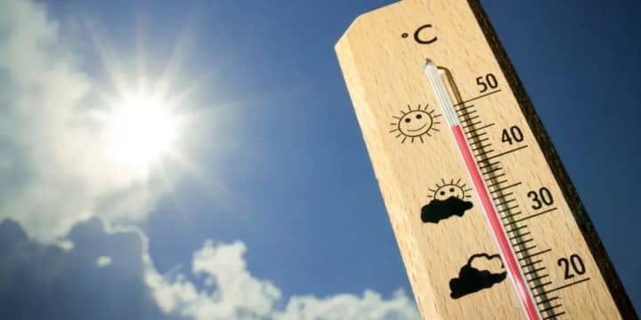 vsemirnii-den-meteorologa-i-den-shchenkov