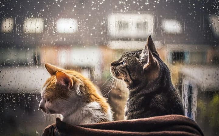 warm-but-there-will-be-rain-weather-forecast-for-today