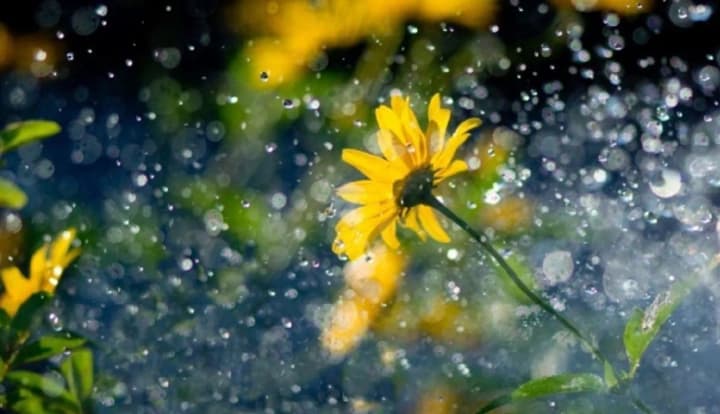 v-ukraini-na-vykhidnykh-mistsiamy-doshchi-poryvchastyi-viter-ta-pokholodannia