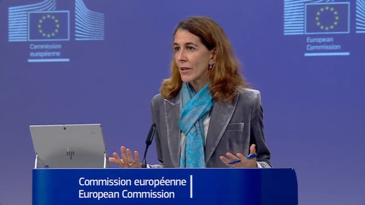 yevrokomisiia-prokomentuvala-mozhlyvu-uhodu-ukrainy-ta-ssha-shchodo-kopalyn