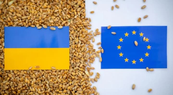 the-eu-expects-a-reduction-in-agricultural-imports-from-ukraine