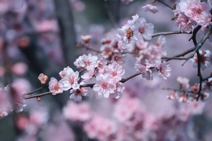 mestami-budet-dozhd-a-stolbik-termometra-budet-prigat-ot-8-do-19-kakaya-pogoda-ozhidaet-ukraintsev-1-aprelya