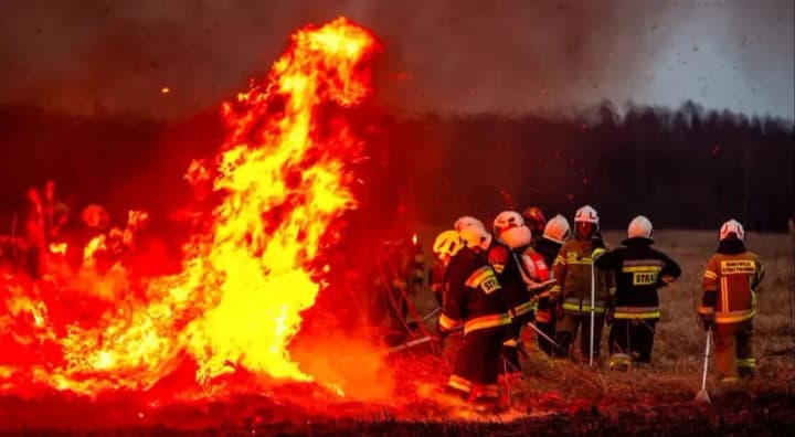 a-large-fire-in-the-biebrza-national-park-is-being-investigated-in-poland-90-hectares-have-burned