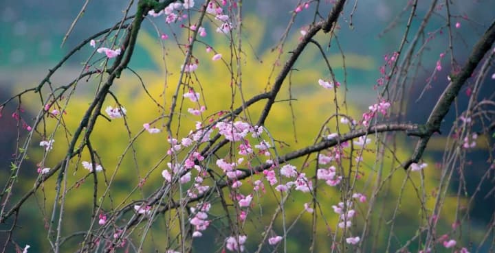 doshch-viter-ta-18-hradusiv-pohoda-v-ukraini-zavtra-znovu-dyvuvatyme