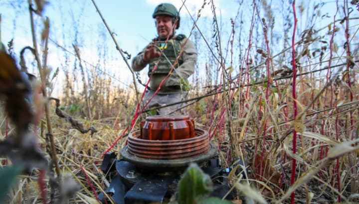 kak-pravilno-obrashchatsya-s-minami-i-vzrivchatkoi-mvd-ozvuchilo-soveti-po-minnoi-bezopasnosti
