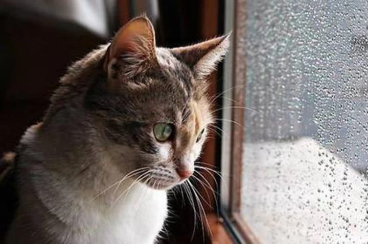 spring-is-canceled-weather-forecast-for-today