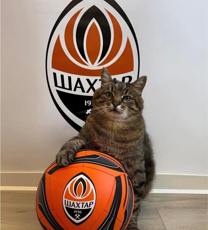 shakhtar-pidpysav-lehendarnoho-kota-stepana