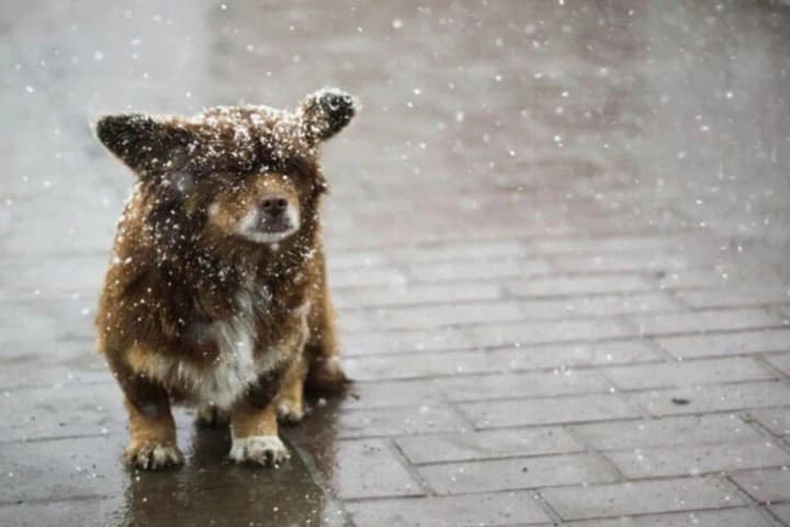 wet-snow-rain-and-ice-are-expected-throughout-ukraine-weather-forecasters-warn-of-worsening-weather-on-april-10