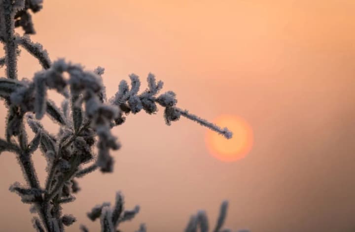 remnants-of-wet-snow-and-frost-are-expected-tomorrow-then-spring-returns