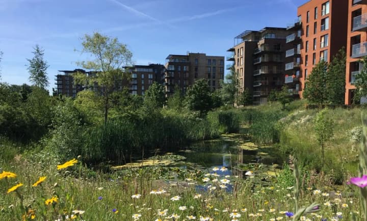 london-zhiloi-massiv-stal-raem-dlya-tritonov-sochetaya-prirodu-i-zhile-novostroiki