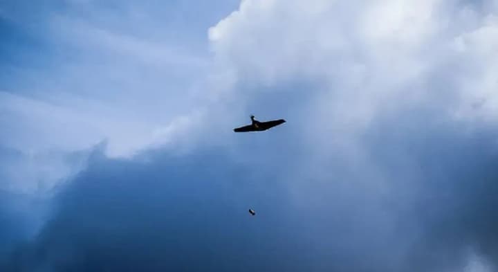 the-ministry-of-defense-has-approved-the-ukrainian-b-1-uav-for-operation-in-the-armed-forces-what-it-can-do