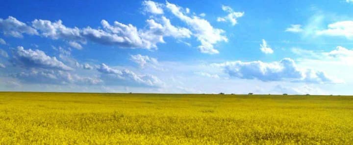 kozhni-4-z-5-ha-peredanykh-derzhzembanku-ne-zdani-v-orendu-ale-fdmu-zvituie-pro-peremohu