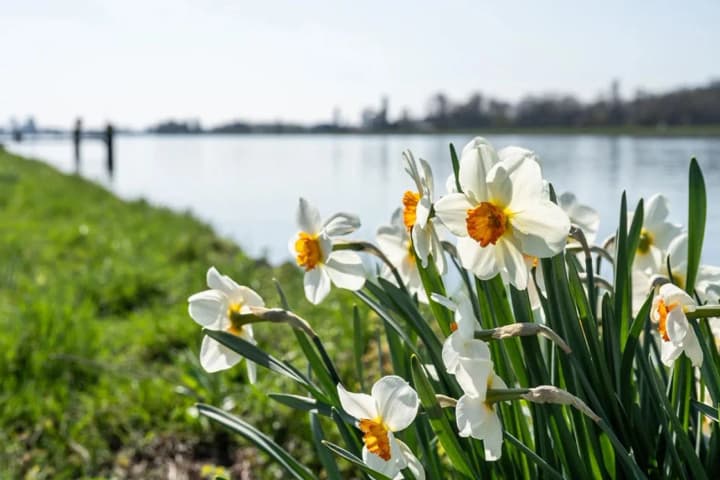 zavtra-ukraina-budet-odnoi-iz-samikh-teplikh-stran-yevropi-v-techenie-dnya-ozhidaetsya-2026-gradusov