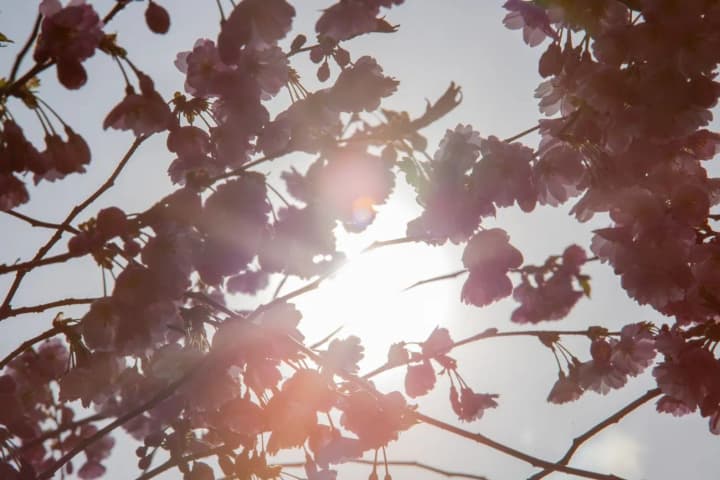 after-significant-warmth-a-noticeable-cooling-is-expected-on-the-weekend-weather-forecaster