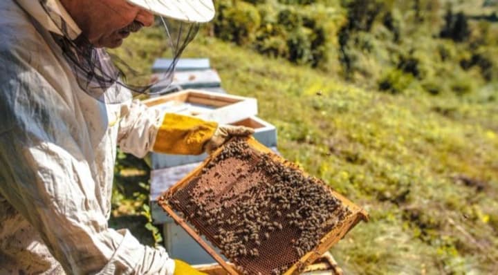 the-share-of-counterfeit-pesticides-is-high-and-stable-at-the-level-of-20-25percent