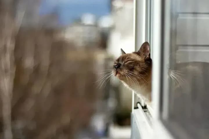 precipitation-cannot-be-avoided-what-will-the-weather-be-like-in-ukraine-on-april-24