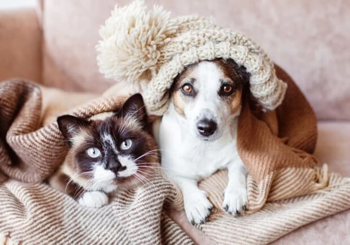 freezing-temperatures-to-hit-weather-forecast-for-april-27