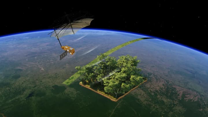 esa-launched-a-satellite-into-orbit-to-assess-the-amount-of-forest-on-earth