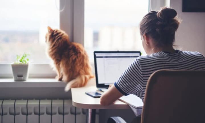 a-parent-whose-child-is-studying-remotely-will-be-able-to-work-from-home-zelenskyy-signed-the-bill