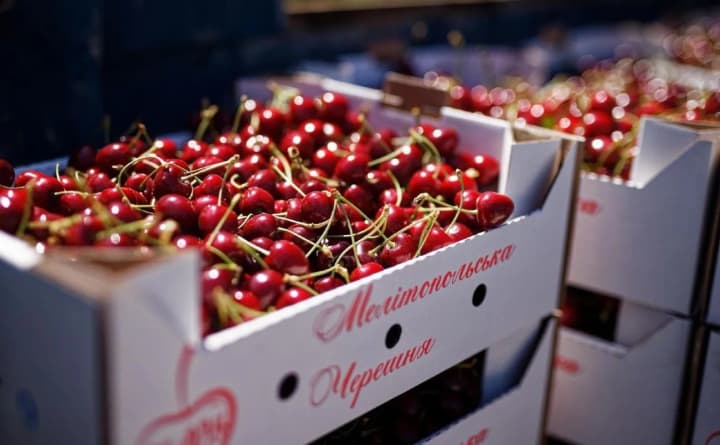 khlib-oliia-chereshnia-shcho-spilnoho-mizh-vashym-meniu-ta-ahrarnoiu-naukoiu-ukrainy