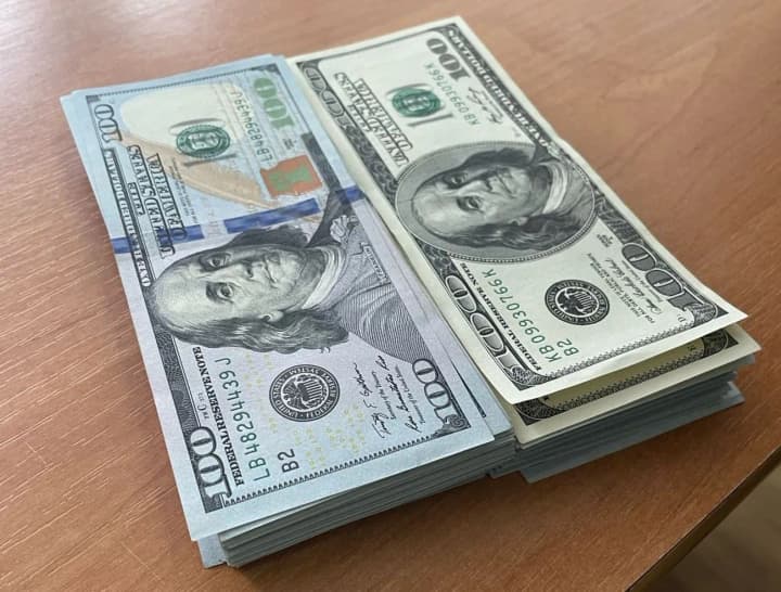 zhitelnitsa-niderlandov-pitalas-vivezti-iz-ukraini-pochti-28-tis-dollarov