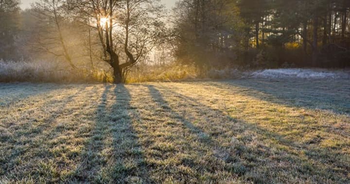 again-frosts-didenko-warns-of-a-drop-in-temperature-at-night-as-well-as-rain-in-western-ukraine