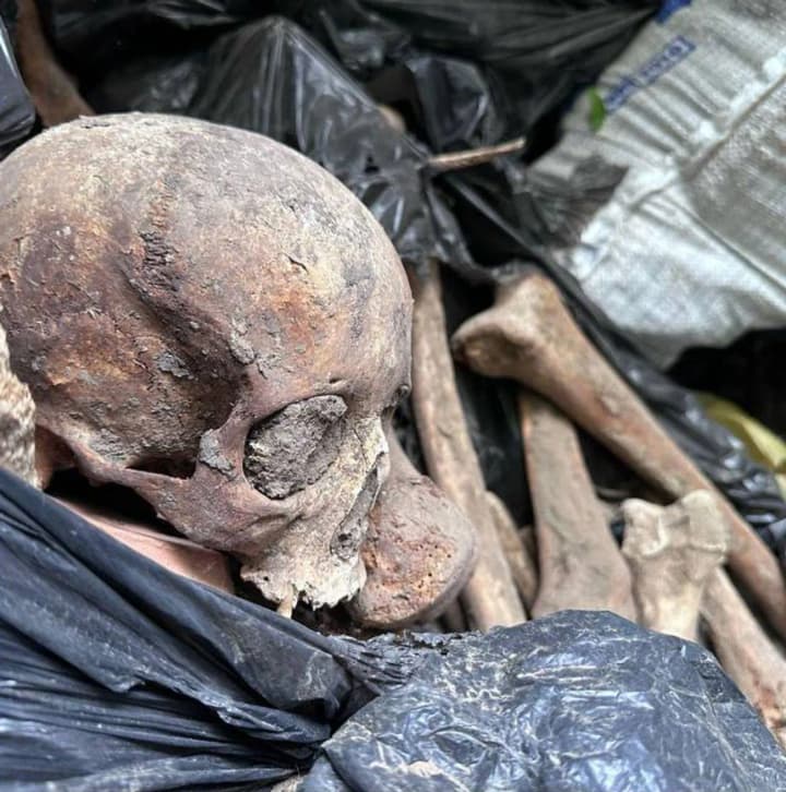 garbage-can-full-of-human-bones-in-kyivs-podil-district-diza-explained-the-origin-of-the-find