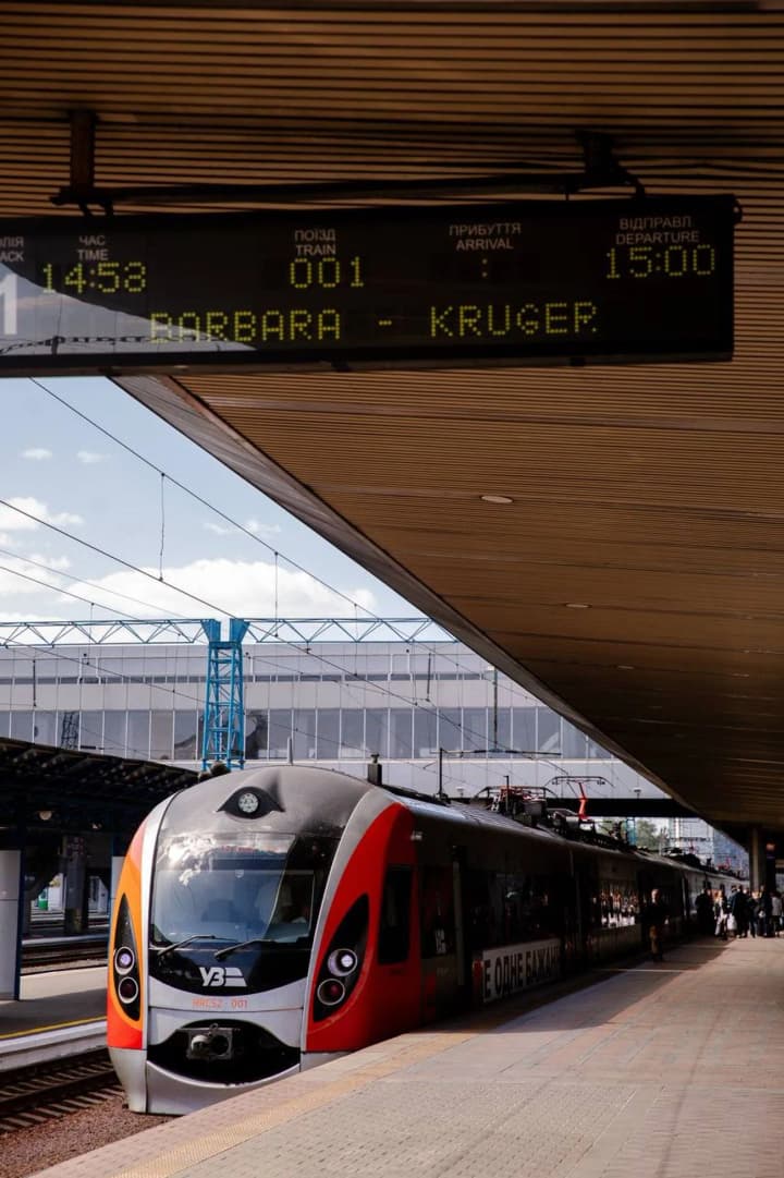 poezd-ukrzaliznitsi-stal-art-obektom-izvestnaya-amerikanskaya-khudozhnitsa-predstavila-svoyu-rabotu-na-stenakh-poezda-intersiti