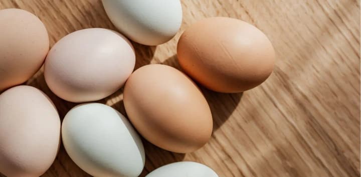 ukrainian-table-eggs-will-soon-appear-on-the-canadian-market-the-embassy-announced-details