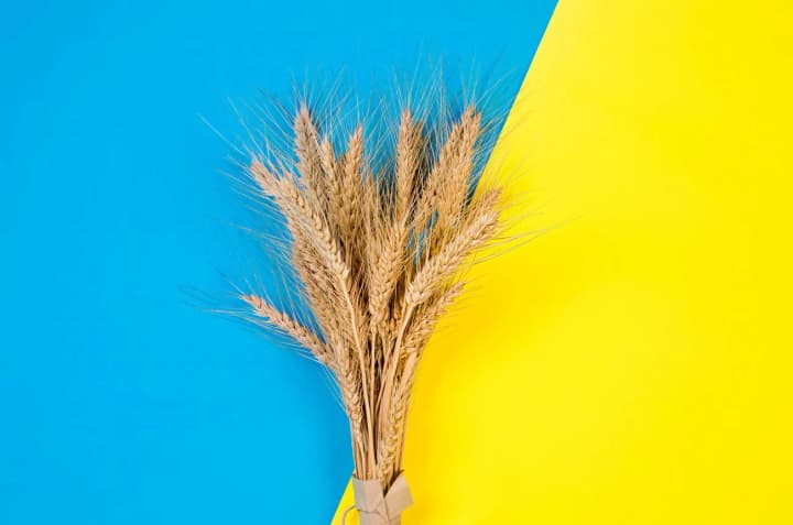 eksport-ahroproduktsii-z-ukrainy-u-kvitni-vpav-maizhe-na-chvert-eksperty