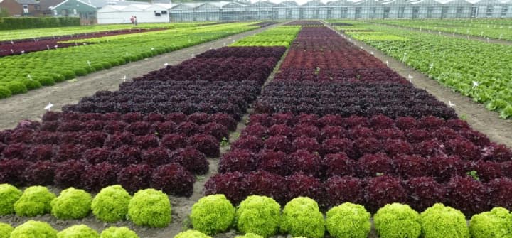 intensivnoe-zemledelie-privelo-k-sereznoi-degradatsii-pochv-v-britanii-i-yevrope-the-guardian