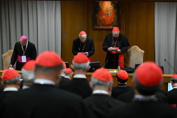 before-the-conclave-to-elect-the-pope-cardinals-called-for-an-immediate-ceasefire-in-ukraine