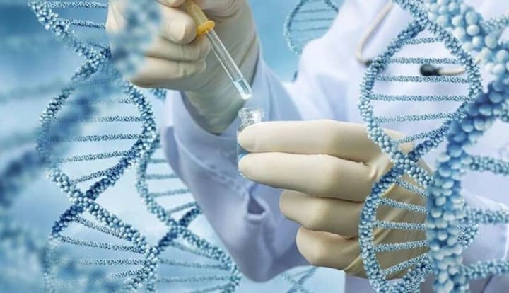 dna-will-be-collected-from-ukrainians-in-poland-whose-relatives-went-missing-in-the-war-applications-are-accepted-until-may-10