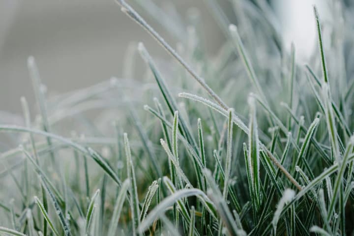 ukraine-warns-of-frost-yellow-and-orange-levels-of-danger-declared