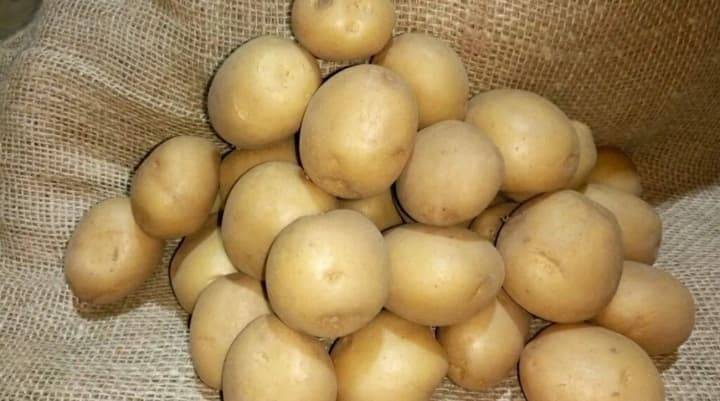 there-is-a-potato-shortage-in-belarus-citizens-complain-lukashenko-blames-farmers-and-exports-to-russia