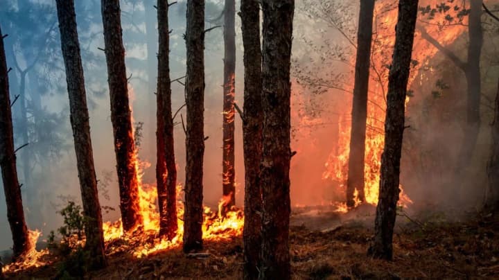 air-pollution-due-to-russian-aggression-in-zaporizhzhia-alone-losses-amounted-to-about-uah-270-million