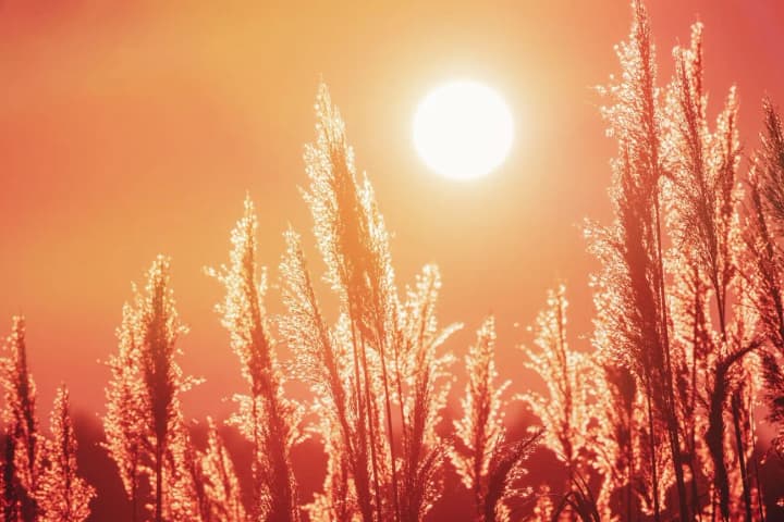 leto-budet-zharkim-sinoptik-rasskazala-chego-zhdat-ukraintsam-ot-pogodi