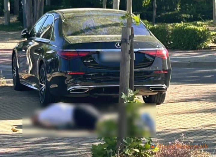 spanish-police-are-investigating-the-murder-of-yanukovychs-ally-portnov-as-a-contract-killing-el-pais