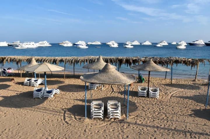 odesa-zakarpattia-and-volyn-expert-spoke-about-vacation-options