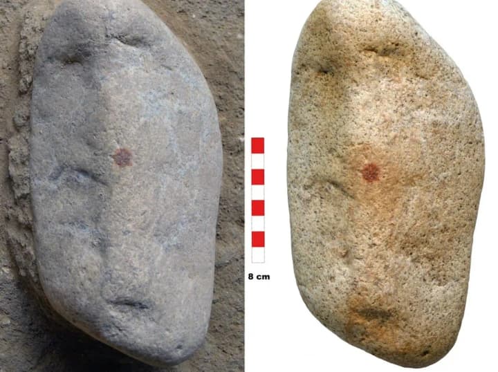 v-ispanii-znaishly-vidbytok-paltsia-neandertaltsia-vikom-43-000-rokiv