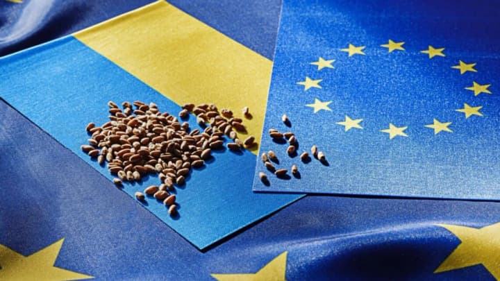 end-of-trade-visa-free-regime-between-ukraine-and-the-eu-expert-named-possible-scenarios