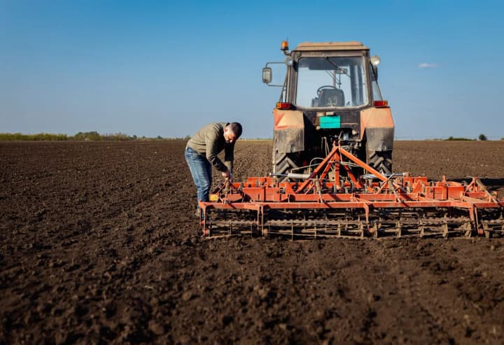 sowing-is-almost-finished-which-regions-are-leading
