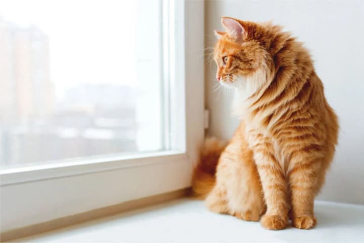 in-ukraine-june-06-will-be-hot-but-in-some-places-there-will-be-rain-with-thunderstorms