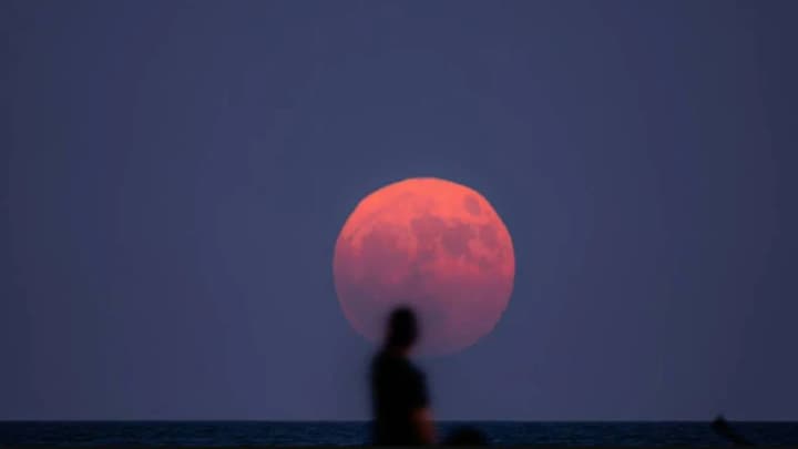 rare-show-in-the-sky-on-june-11-strawberry-moon-will-be-at-its-lowest-point-in-years