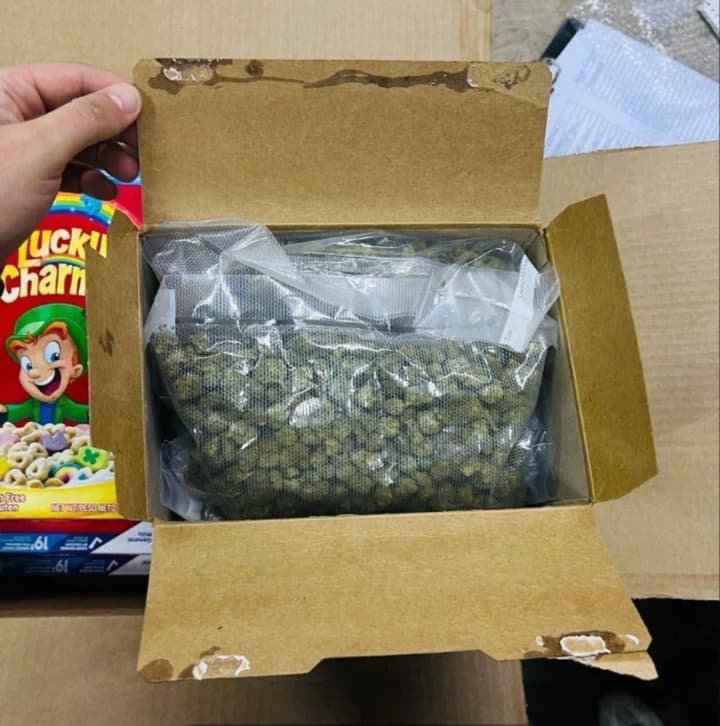 tamozhenniki-perekrili-mezhdunarodnuyu-dostavku-kannabis-pochtoi