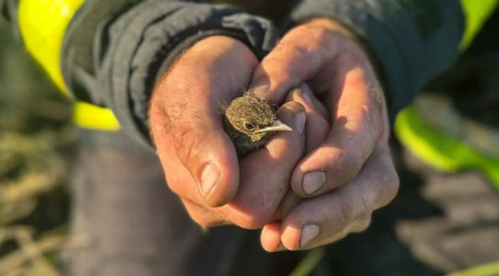 v-kharkovskoi-oblasti-spasateli-spasli-ptentsa-vo-vremya-tusheniya-pozhara