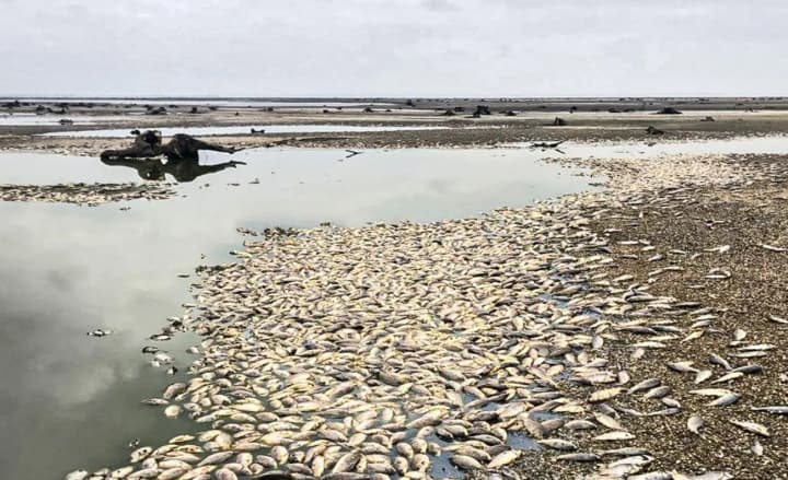 shkoda-dovkilliu-ukrainy-cherez-viinu-rf-siahnula-vzhe-94-mlrd-dolariv