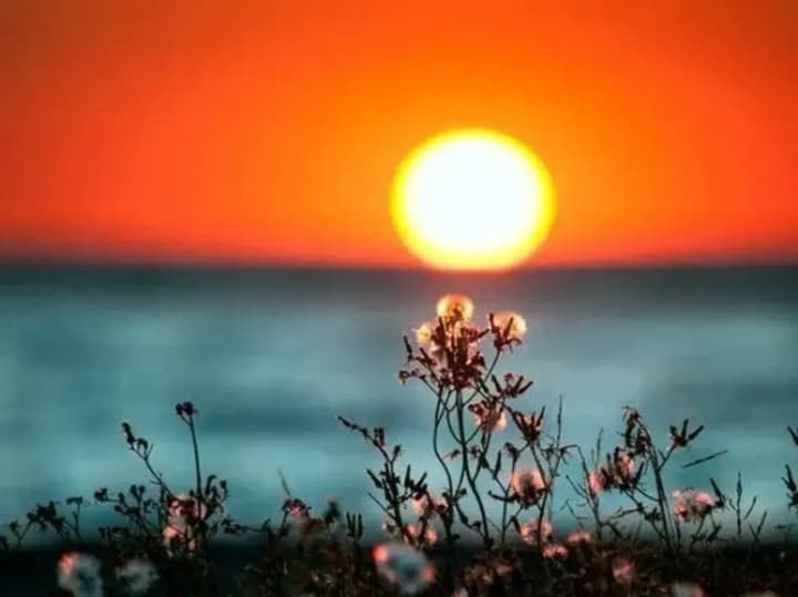 summer-solstice-astrologer-gives-advice-on-what-to-do-to-attract-good-luck