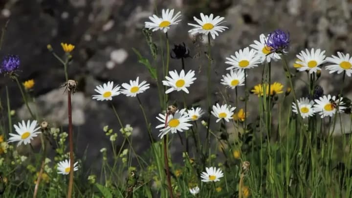 a-cold-snap-is-coming-to-ukraine-the-weather-forecaster-told-where-and-when-the-temperature-will-drop